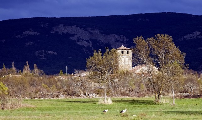 Sotosalbos, al pie de la Sierra de Guadarrma, es refugio y zona de caza de diversas especies protegidas.
