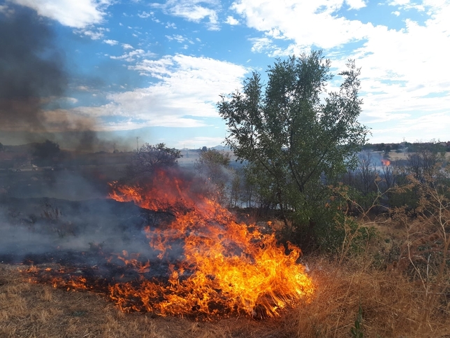 Las llamas pueden haber arrasado 100 hectáreas