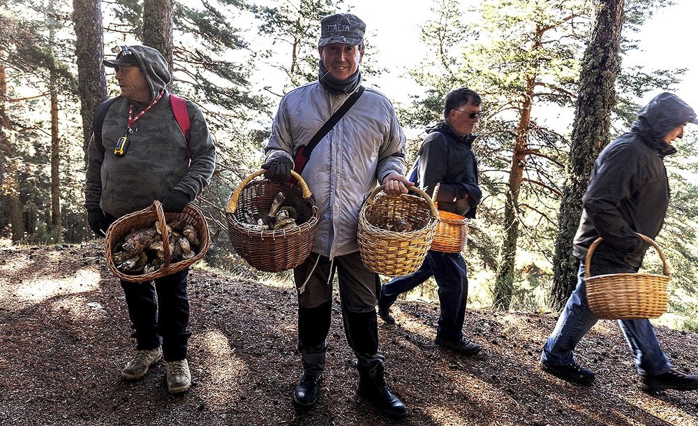 Excursionistas valencianos muestran sus cestas repletas.