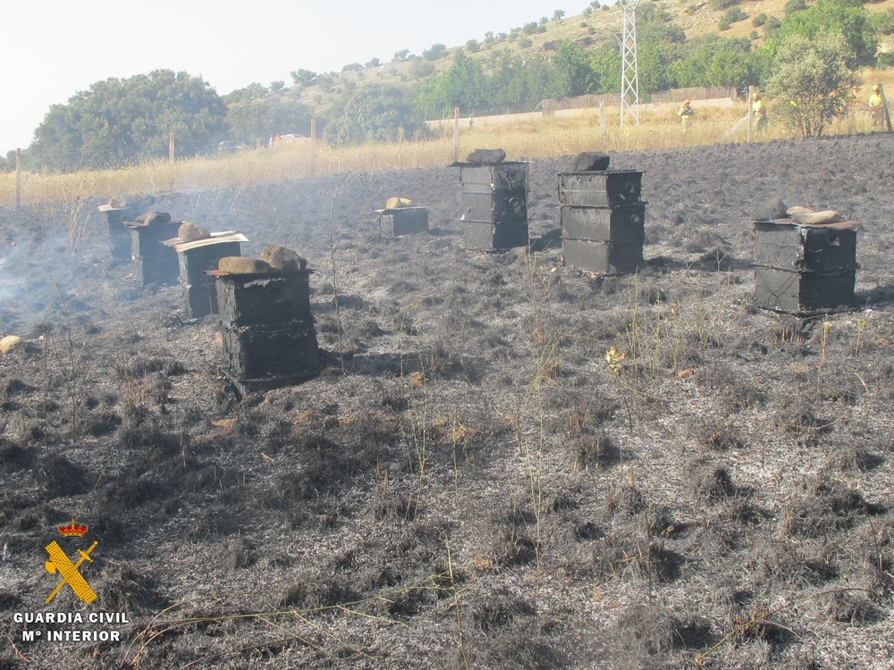 Investigado por provocar un incendio en La Losa