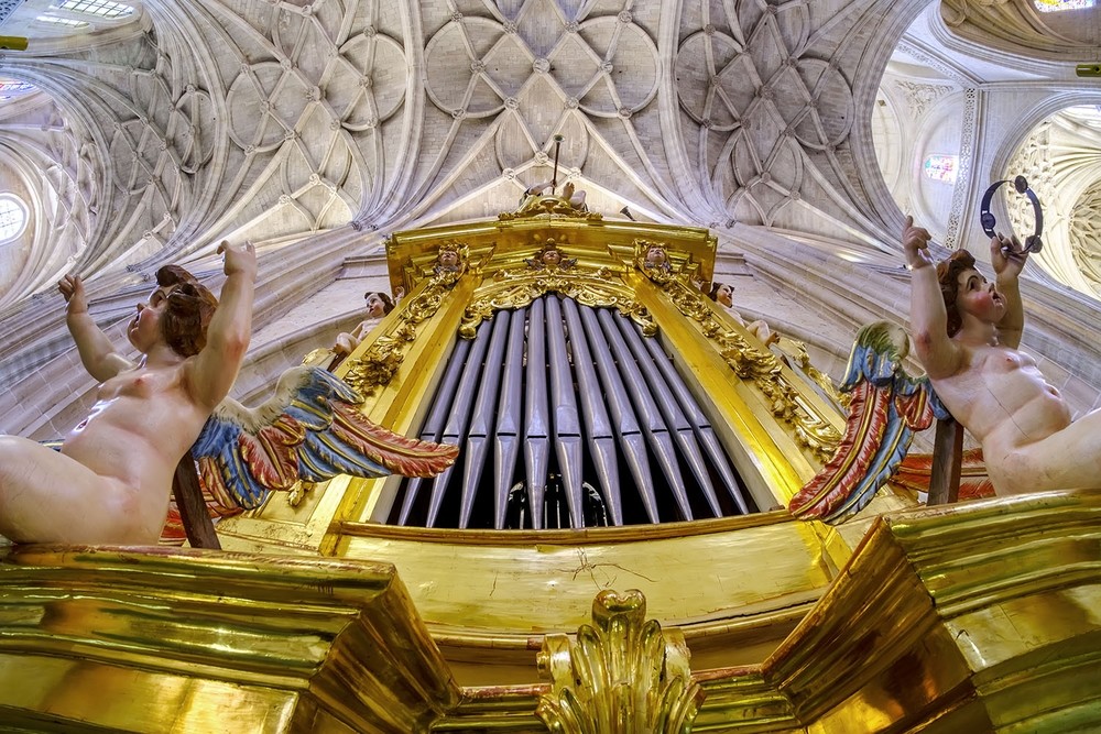 Dos años de restauración del órgano de la Catedral 