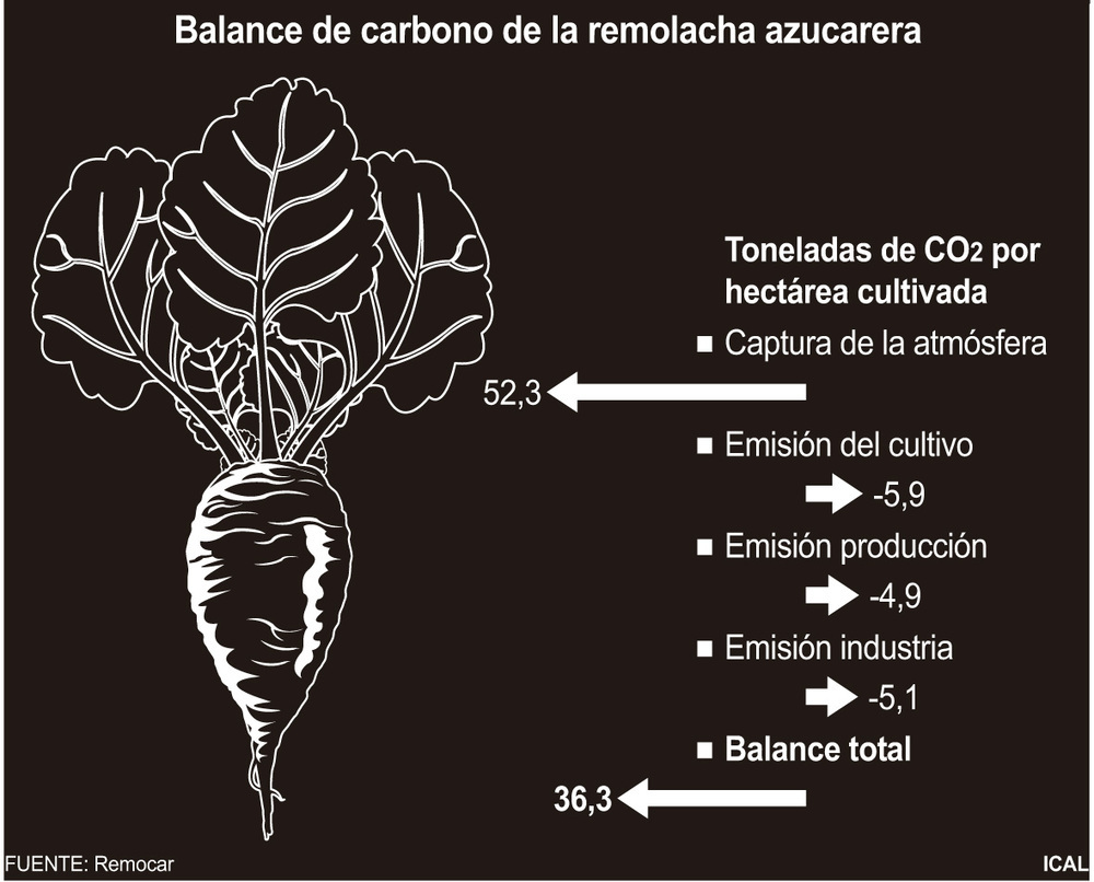 Cultivos contra la huella de carbono