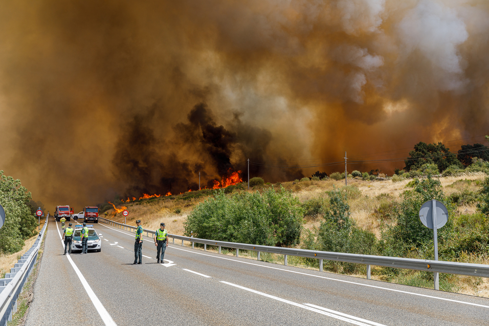 Incendio en la Nacional 110 a la atura de Navafr?a y Torreval de San Pedro  / NACHO VALVERDE/ ICAL