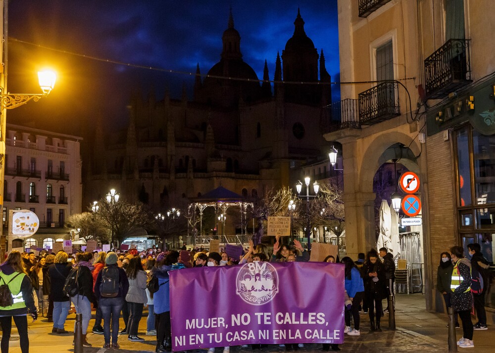 Manifestaci?n del 8M en Segovia  / NACHO VALVERDE