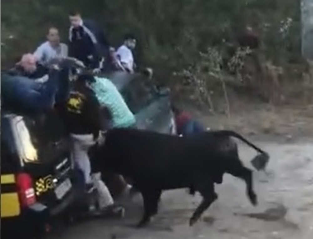 Momento en el que el toro que sale de corrales arrincona al público entre los vehículos