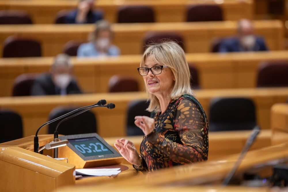 Ana Agudíez, senadora del PSOE por Segovia.