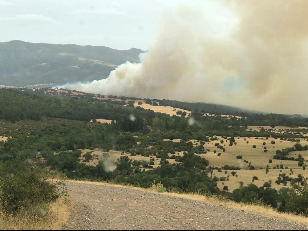 Declarado de nivel 1 un incendio forestal en Becerril (Riaza)