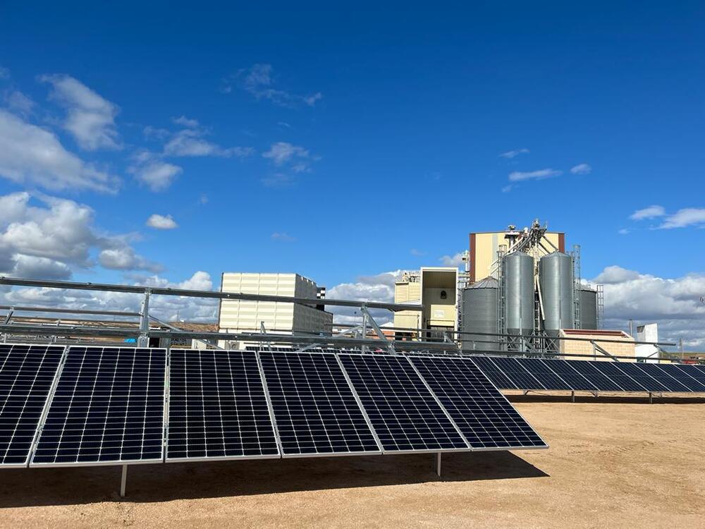 Innoporc estima sobrecostes energéticos de entre el 250 y el 500% en sus centros de producción en dos años, mientras ponía más de una decena de instalaciones solares en granjas y su fábrica de piensos.