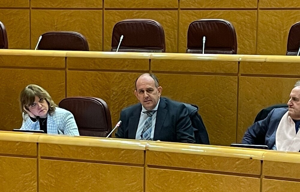 José Luis Aceves, diputado del PSOE por Segovia, durante la Comisión Mixta de Control Parlamentario de la Corporación RTVE y sus Sociedades.