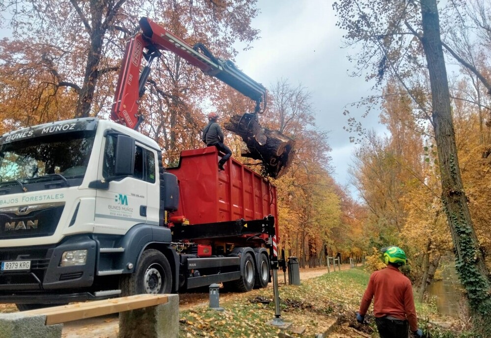Trabajos para la retirada de árboles y ramas en la ribera del Eresma.