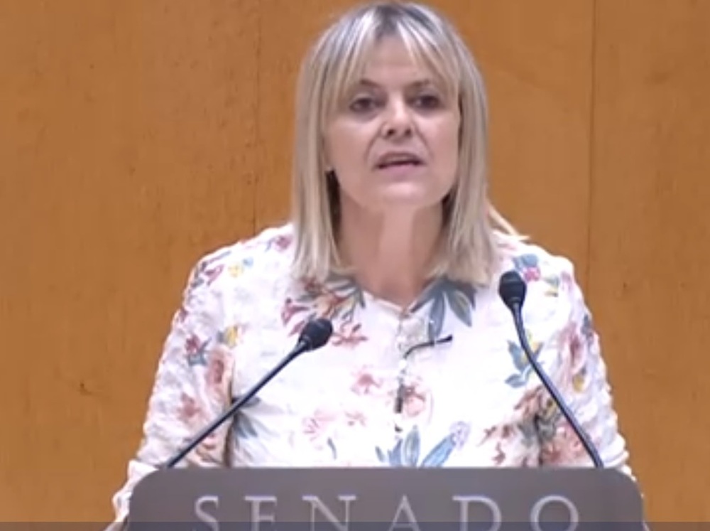 Ana Agudíez durante su etapa de senadora socialista por la provincia de Segovia. 
