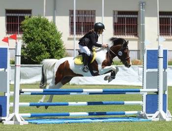 Segovia acoge el Campeonato de España de Equitación con Ponis