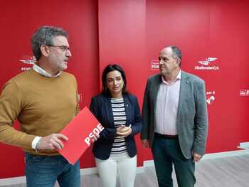El PSOE pide a la Junta 400 millones para ayudas energéticas