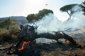 El fuego arrasa 122.000 hectáreas en España en lo que va de año