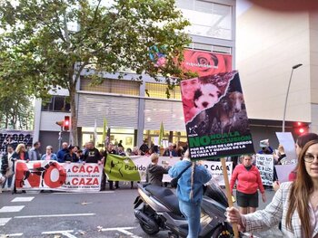 PACMA protestará en Segovia para proteger a los perros de caza
