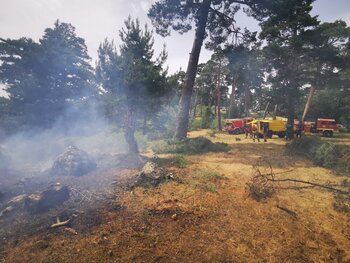 Declarado un incendio en el pinar de Valsaín