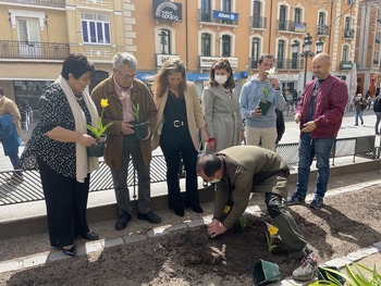 Segovia planta tulipanes para concienciar sobre el parkinson