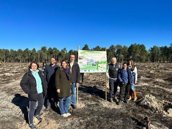 Un proyecto reforestará con 6.000 árboles el entorno de Chatún