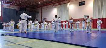 El Judo y el Deporte Divertido congregan a 600 escolares