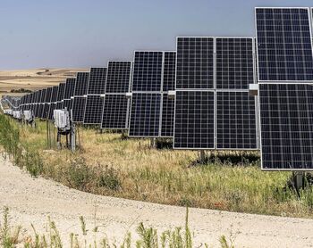 Un parque solar en la Campiña desde otoño con 677.000 placas