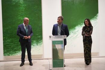 Hugo Fontela 'llena de verde' el Museo Esteban Vicente
