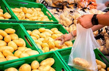 Mercadona comercializará 94.000 toneladas de patata nacional