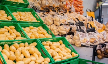 Mercadona comercializará 35.000 toneladas de patatas de CyL