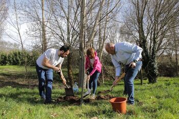 Las instituciones plantan árboles para celebrar Día del Árbol