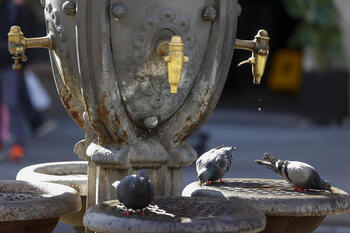 Cataluña pone en emergencia por sequía a 239 municipios